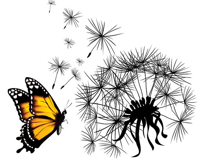 dandelio-head-and-butterfly